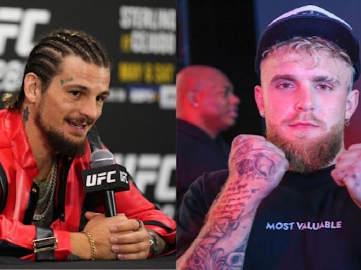 Sean O'Malley Fascinated by Prospect of Jake Paul Fighting 'F***ing Scary Big' Alex Pereira: 'Dude's Terrifying'