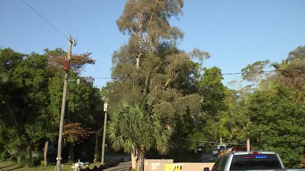 1 dead, 2 in custody after stolen vehicle crashes into body of water in Martin County