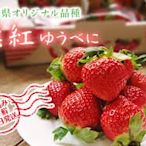 草莓族"日本草莓種子/日本熊本ゆうべに草莓王/10粒入種子
