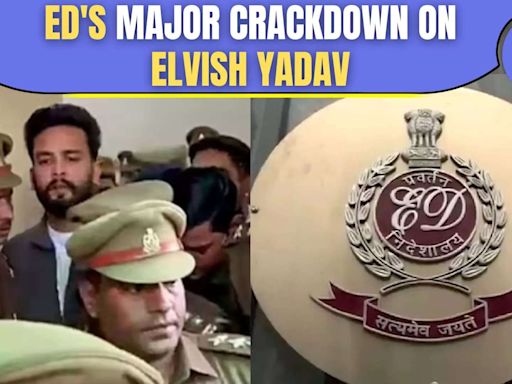 Bigg Boss OTT 2 Winner Elvish Yadav & Singer Fazilpuria Lands In Soup: ED Seizes Properties