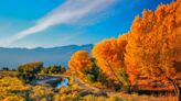 These are the best places to catch fall colors in California