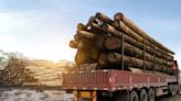 Will Falling Lumber Prices Chop Down Weyerhaeuser's Dividend?