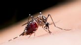 Several area health agencies to receive state funding for mosquito control