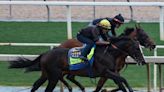 Preakness Candidates Muth, Imagination Tune Up At Santa Anita