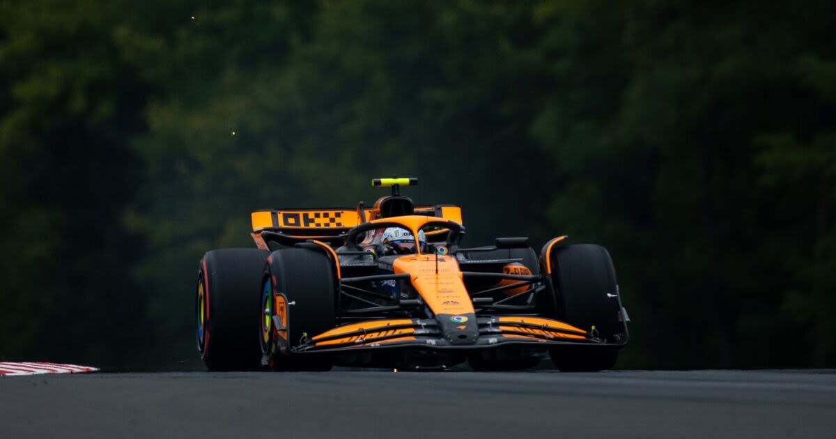 Norris heaps misery on Verstappen as McLaren dominate Hungarian GP qualifying