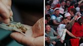 German cops behind beer ban say England fans 'should smoke cannabis instead'