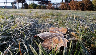 Hasta -1°C: pronostican heladas desde Valparaíso hasta el Biobío y lluvias en sectores de la zona centro sur - La Tercera