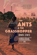 The Ants and the Grasshopper (2021) - Posters — The Movie Database (TMDB)
