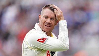 Australia end David Warner’s hopes of international comeback after retirement