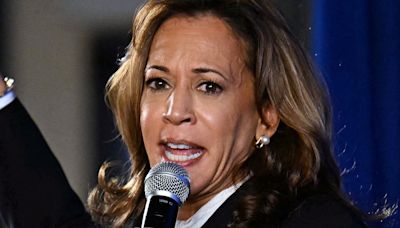 Conspiracy rages among Trump supporters over Kamala Harris's earrings