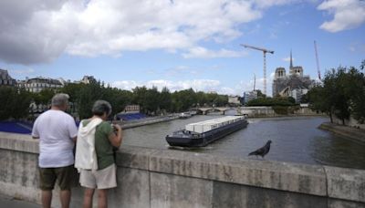 JO de Paris 2024 : La Seine a été propre à la baignade plusieurs jours consécutifs fin juin