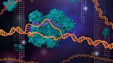 188 new types of CRISPR revealed by algorithm