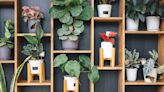 The 15 Best Self-Watering Planters for Even the Most Forgetful Plant Parents