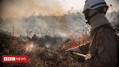 Amazônia e Pantanal têm piores queimadas das últimas duas décadas, alerta agência europeia