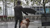 The Daily Weather Update from FOX Weather: Drenching rains to spoil summer this week in southern US