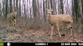 Sunday hunting bill in Pennsylvania moves to full Senate for vote