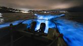 WATCH: Boat glides through glowing blue waves during San Diego's latest bioluminescence