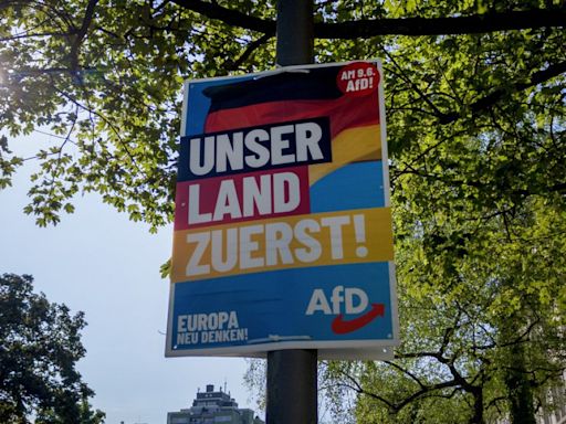 Una campaña social denuncia que AfD reproduce terminología nazi