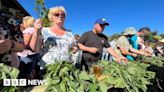 Nettle eating: Contestants gather for world championships