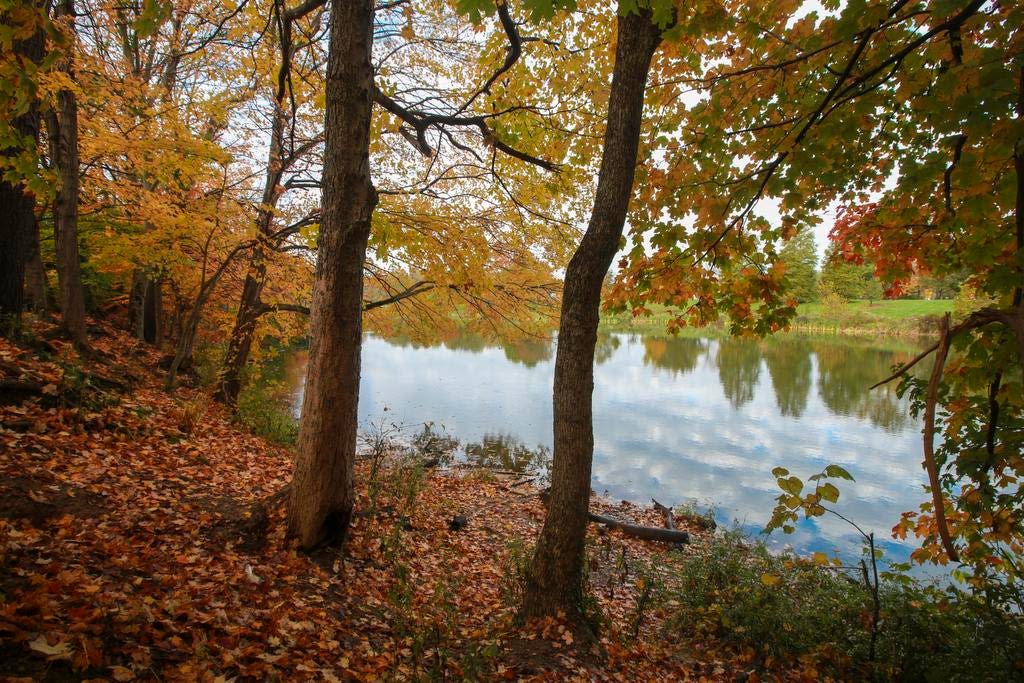 Here are 10 places, parks to see fall foliage in the Louisville area