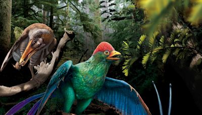 本地創科動態｜中大：恐龍時代反鳥類飲食多樣化