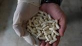 Socio de cárteles mexicanos es acusado de importar más de dos toneladas de precursores para fentanilo