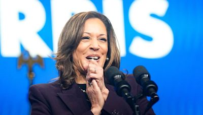 Biden biographer: Harris ‘pulled the Democratic campaign out of free fall’