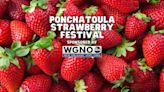 ‘Berry’ important guide to 2024 Ponchatoula Strawberry Festival