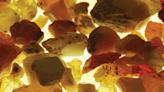 Ever gone rockhounding near the Tri-Cities area? You can find agates, fossils, gemstones