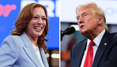 Harris narrowly leads Trump in nearly all battleground states: Cook poll