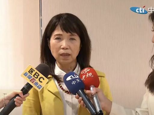 吳思瑤朝野協商突提「2758決議不涉台」 陳昭姿轟：要造謠8千次才滿足？