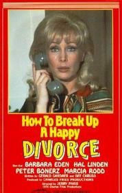 How to Break Up a Happy Divorce