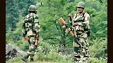 Terrorist gunned down in anti-infiltration operation at Jammu and Kashmir’s Uri