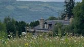 Largest wildflower meadow near Loch Ness blooms at Boleskine House