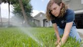 Stop over-watering your your lawn, trees and shrubs. Here's how you can do it.