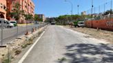 El Ayuntamiento de Alicante sigue talando árboles en la Plaza de San Blas