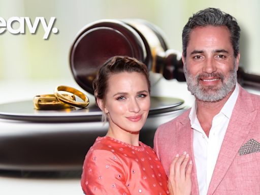 Hallmark's Victor Webster Finalizes Divorce With Custody Rulings for Cats & Dog