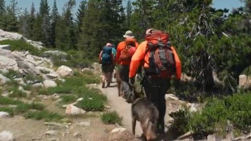 Royal Fire containment efforts prevent growth, 200 acres still burning near Truckee