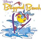 Disney's Blizzard Beach