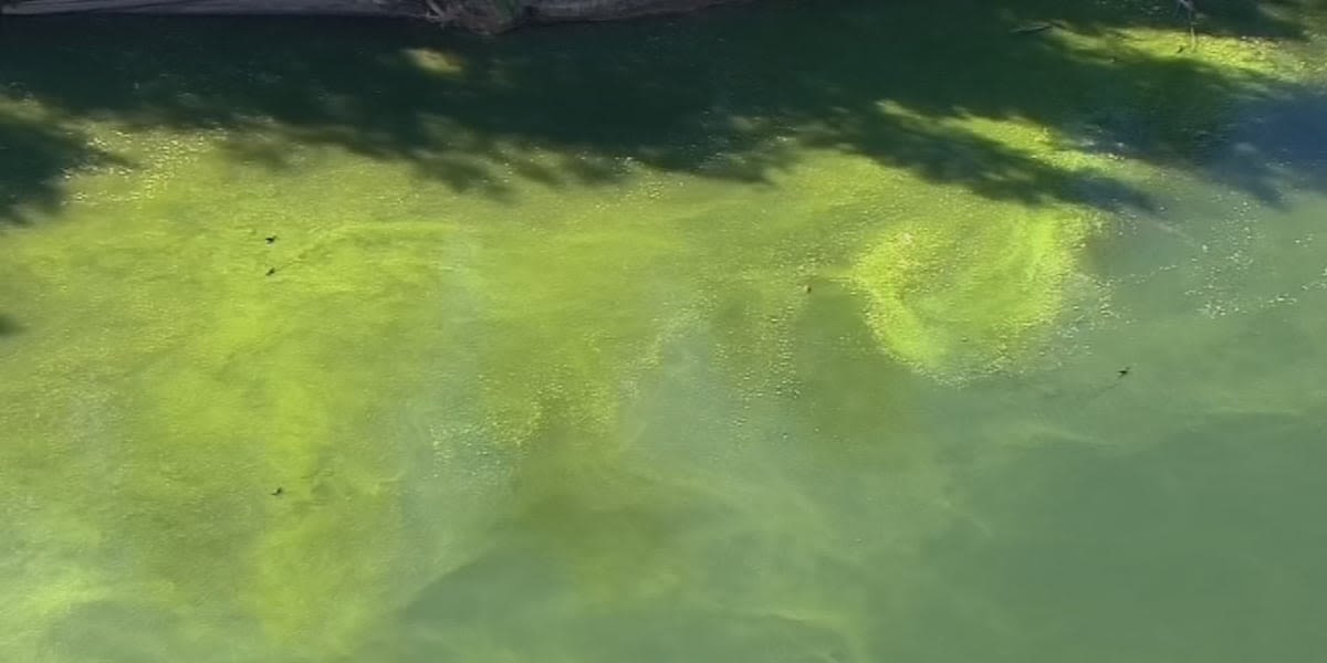 KDHE issues blue-green algae warning for Overbrook City Lake in Osage County