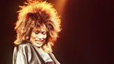 El viudo de Tina Turner quiere construir una especie de Graceland en Suiza