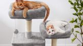 El sencillo truco para que tus gatos no arañen los muebles está de ofertón en Amazon