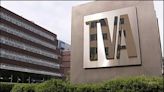 TVA awards energy-saving grants to 9 local schools