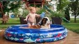 How to keep dogs cool in hot weather