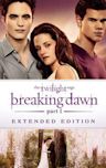 The Twilight Saga: Breaking Dawn – Part 1