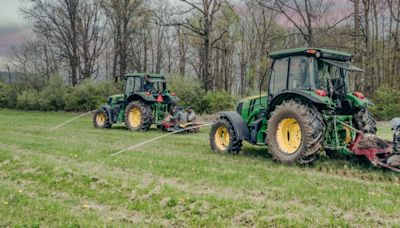 Honda plants 85,000 trees in Union County to reduce its carbon footprint