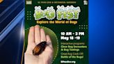 Bug Fest returns to El Paso Zoo this weekend