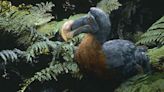 The CIA Is Funding a Mission to Reincarnate the Dodo Bird