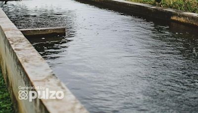 ¿Cómo almacenar el agua en lugares donde no hay acueducto? Evite virus, bacterias y más