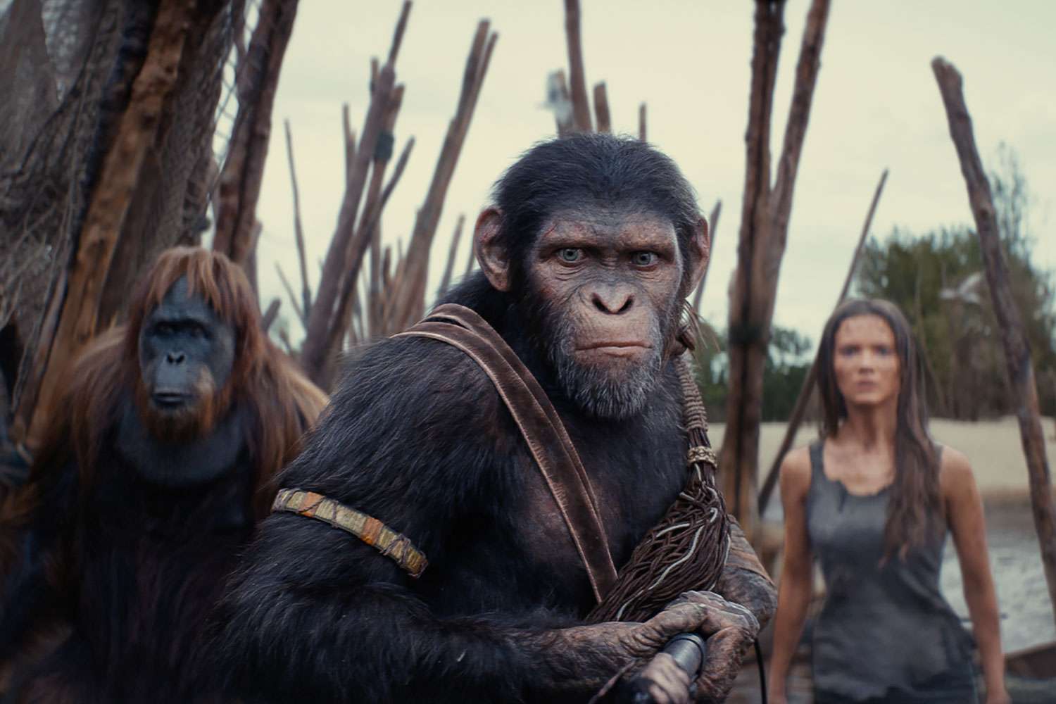 “Kingdom of the Planet of the Apes” Sets At-Home Release Date, Including an Epic New Alternative Cut (Exclusive)